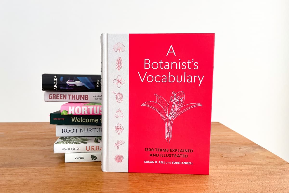 botanist vocabulary houseplants book