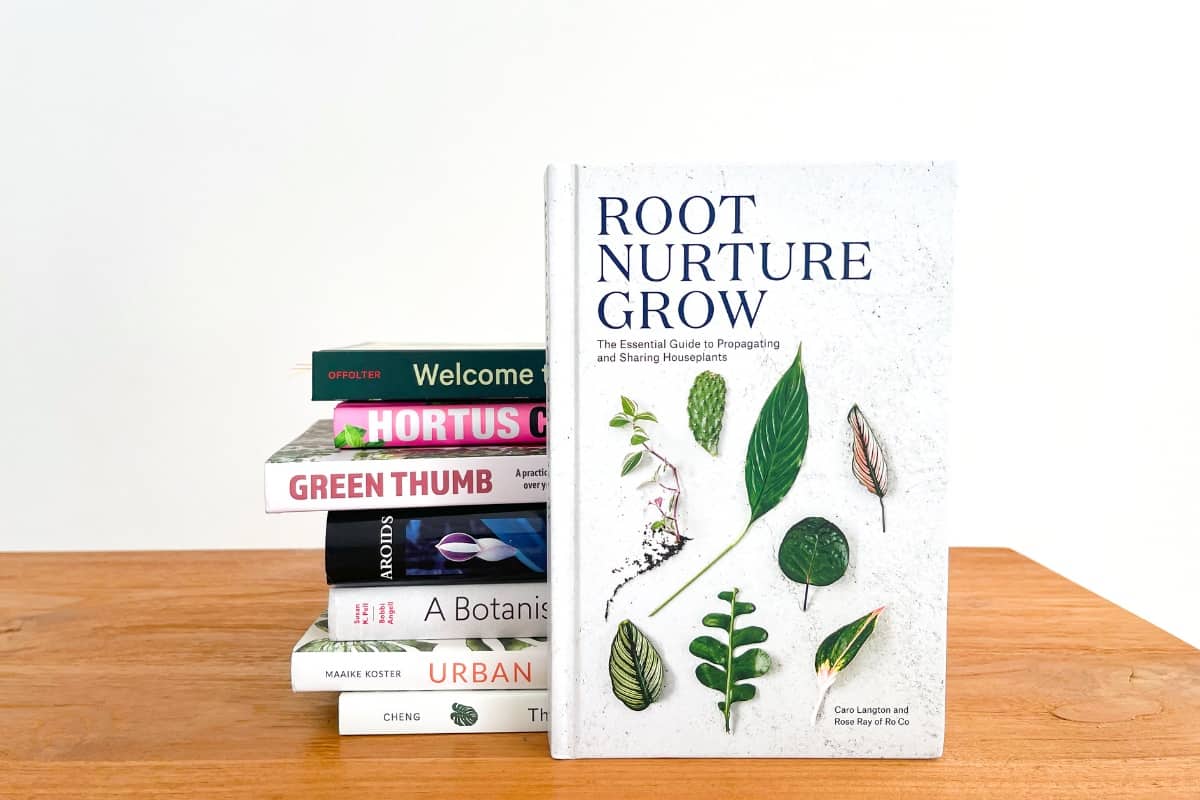 root nurture grow book about propagating plants