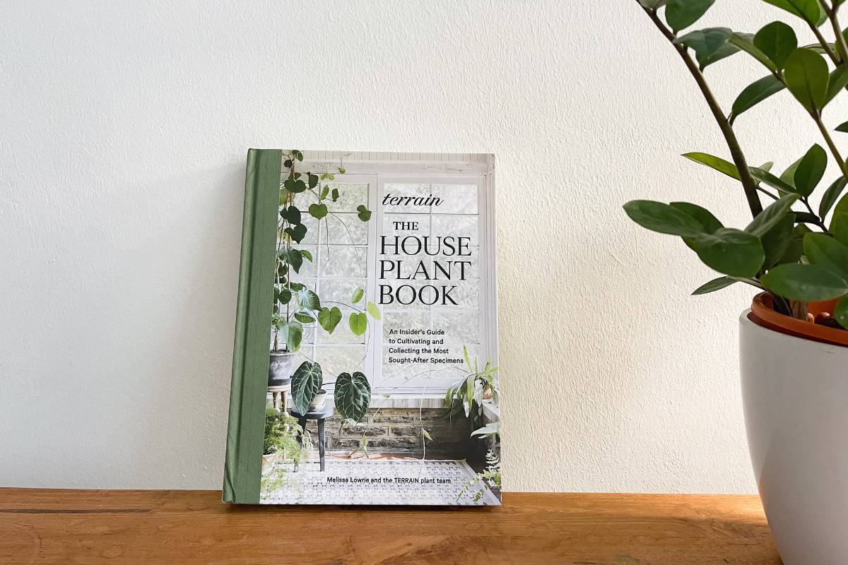 terrain houseplant book