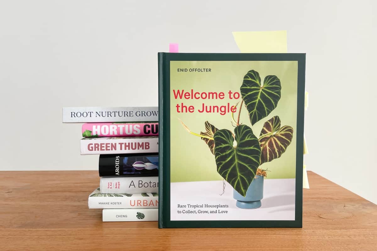 welcome to jungle enid offolter book